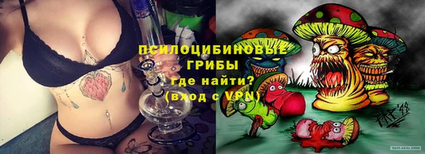 индика Вязьма